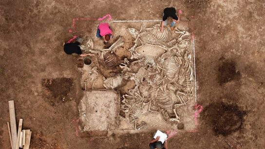 Ancient Germanic Lord Buried with Six Women Discovered in Germany