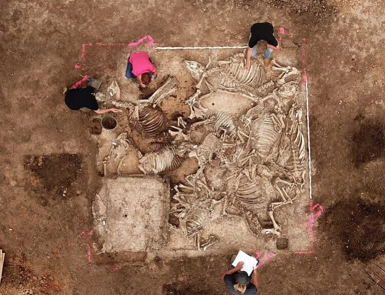 Ancient Germanic Lord Buried with Six Women Discovered in Germany