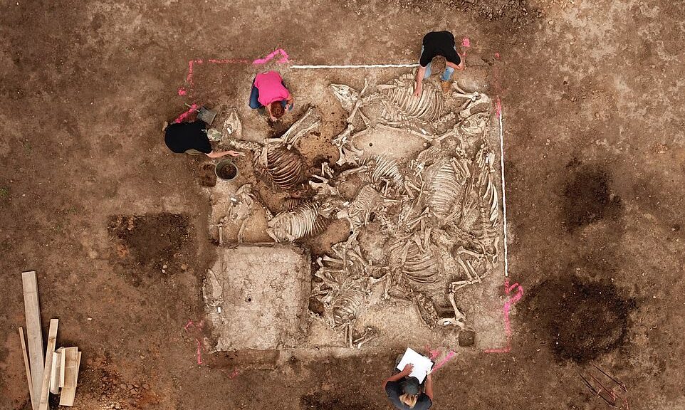 Ancient Germanic Lord Buried with Six Women Discovered in Germany