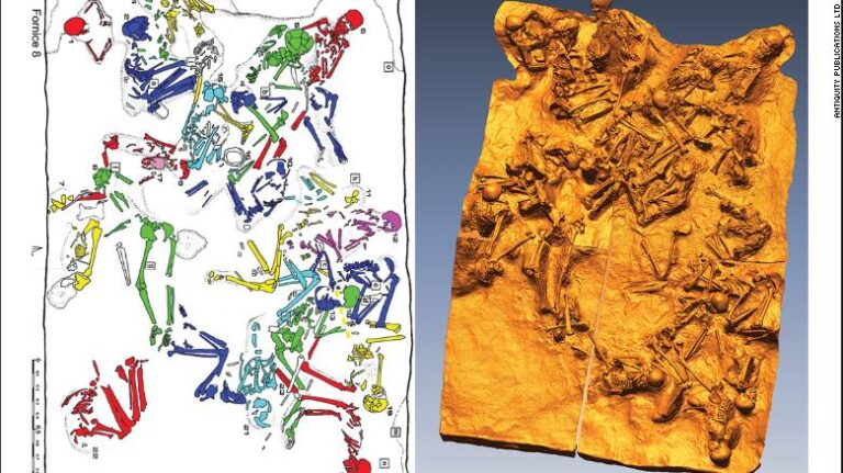Mount Vesuvius Eruption Turned a Victim’s Brain Into Glass